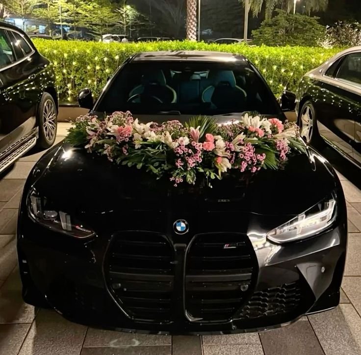 Airport Transportation Services in Miami, FL elegant wedding & special event transportation, fl